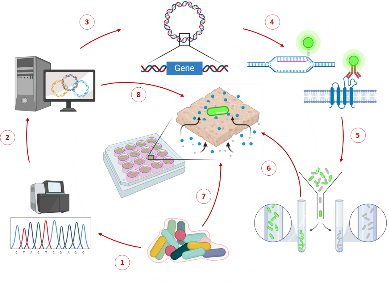 The Micromatrix Micromatrix